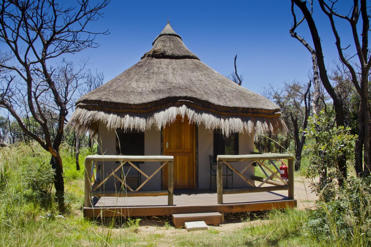 Wildside Safari Camp Villa Golders Green Ngoại thất bức ảnh